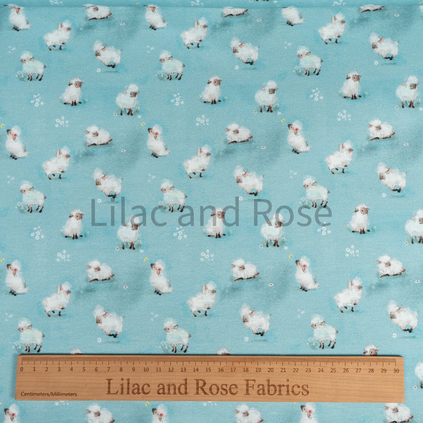 Cotton Jersey - Fluffy Sheep on Blue