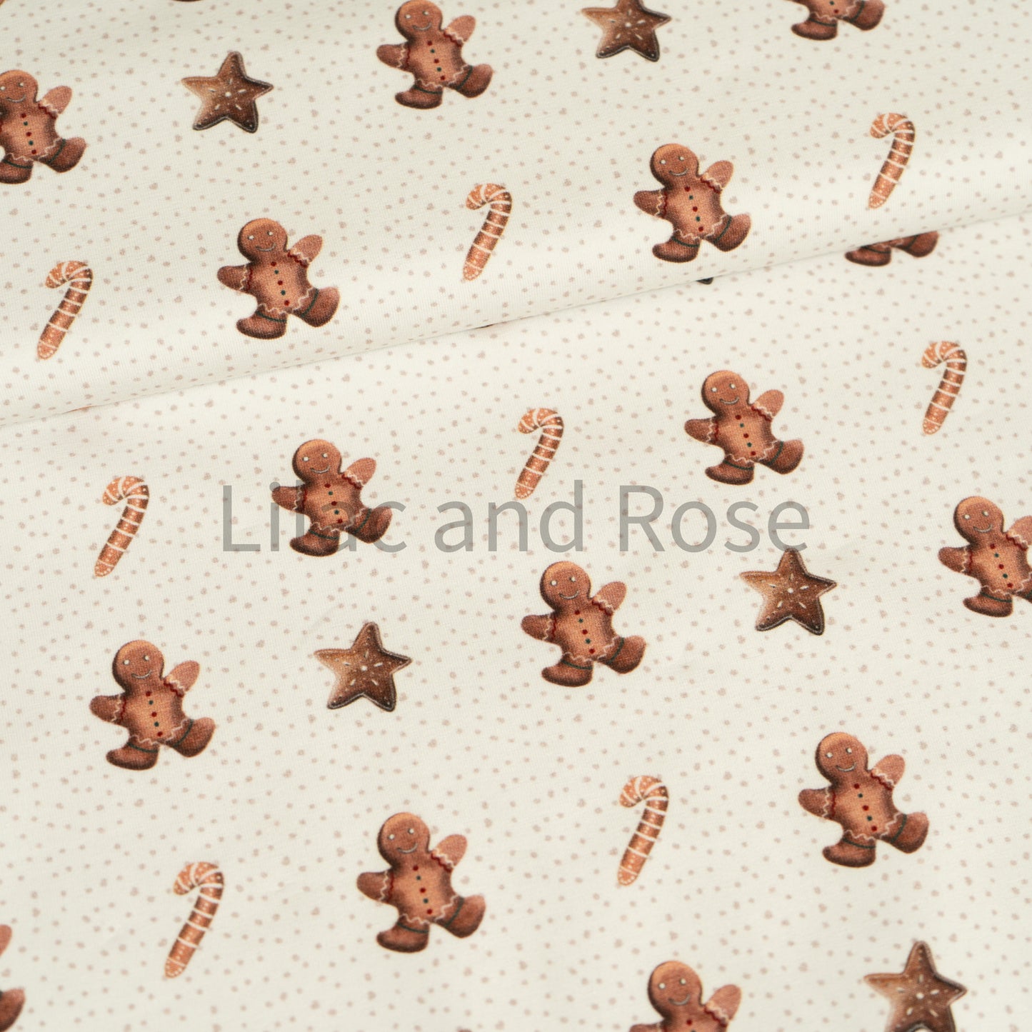 Cotton Jersey - Gingerbread in Dotty (Exclusive)