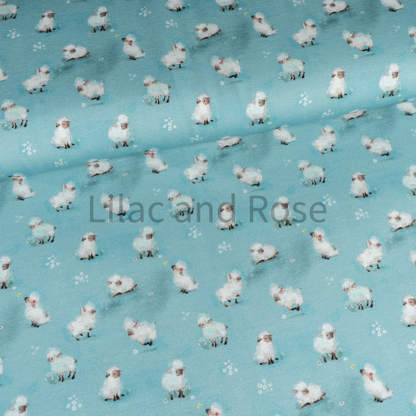 Cotton Jersey - Fluffy Sheep on Blue