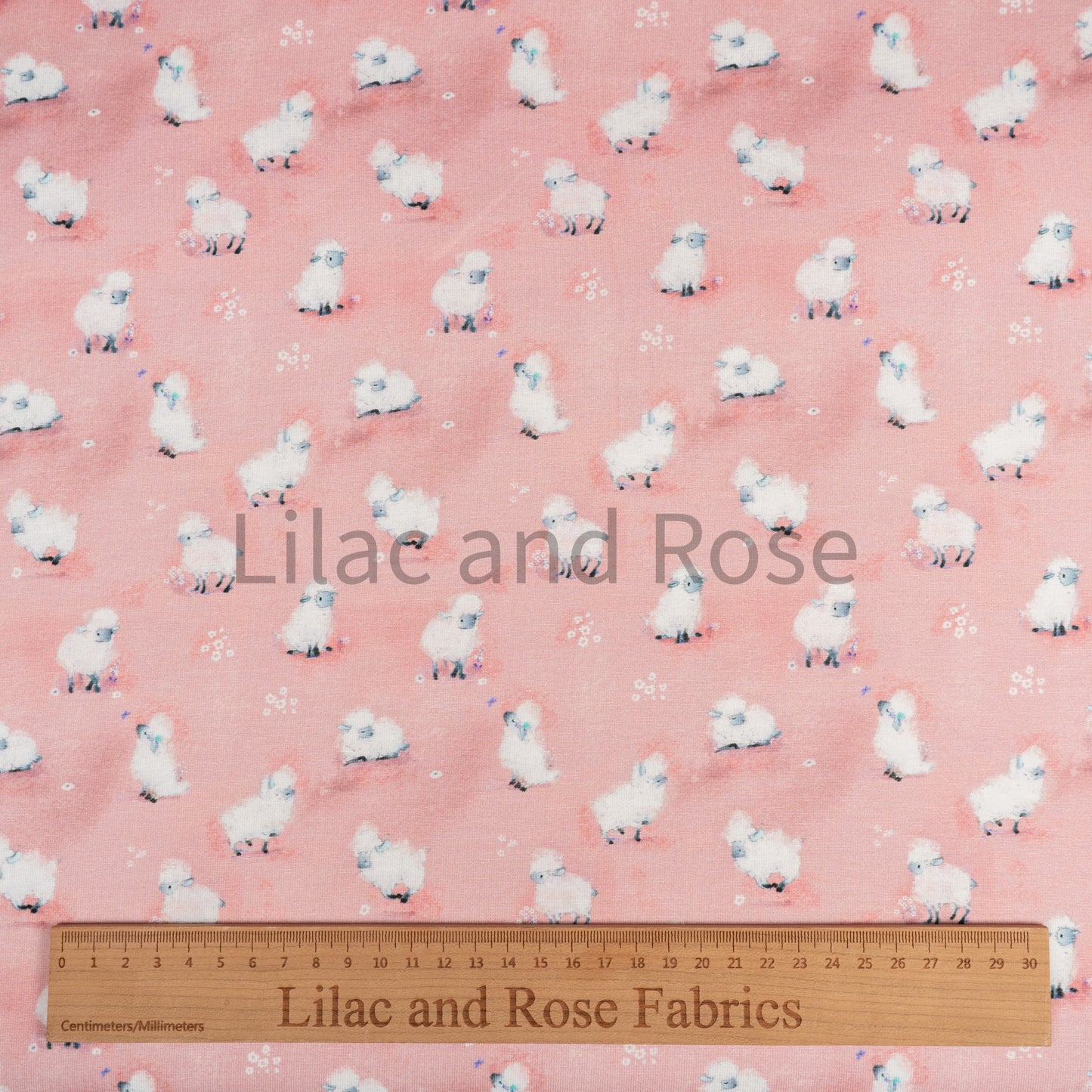 Cotton Jersey - Fluffy Sheep on Pink