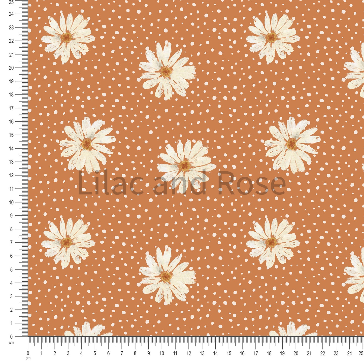 PRE-ORDER - Daisies Orange