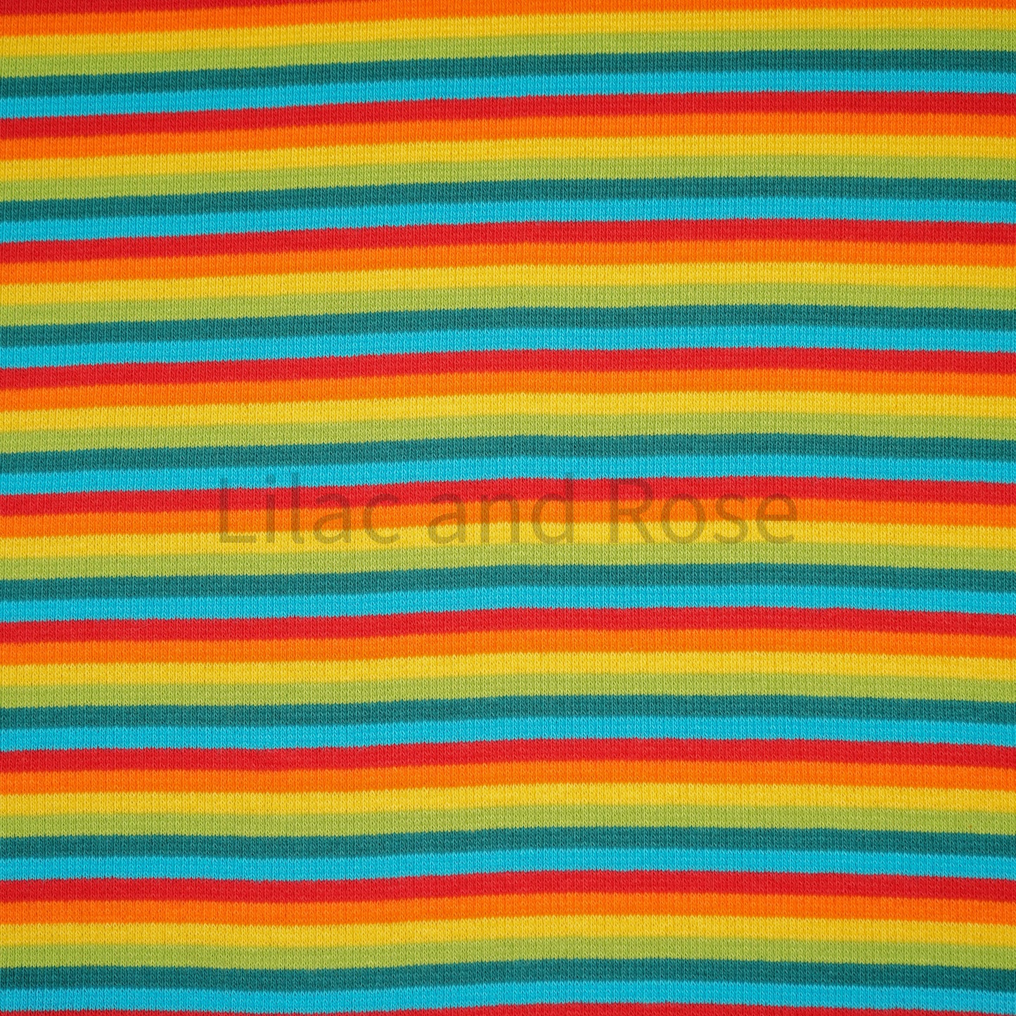 Ribbing - Rainbow Stripes