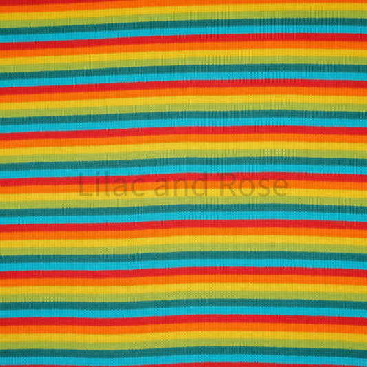 Ribbing - Rainbow Stripes