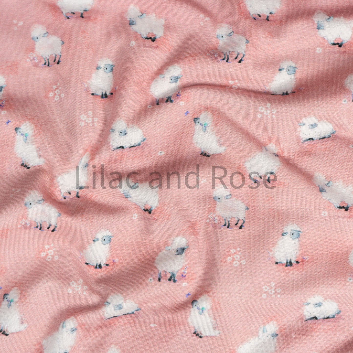 Cotton Jersey - Fluffy Sheep on Pink