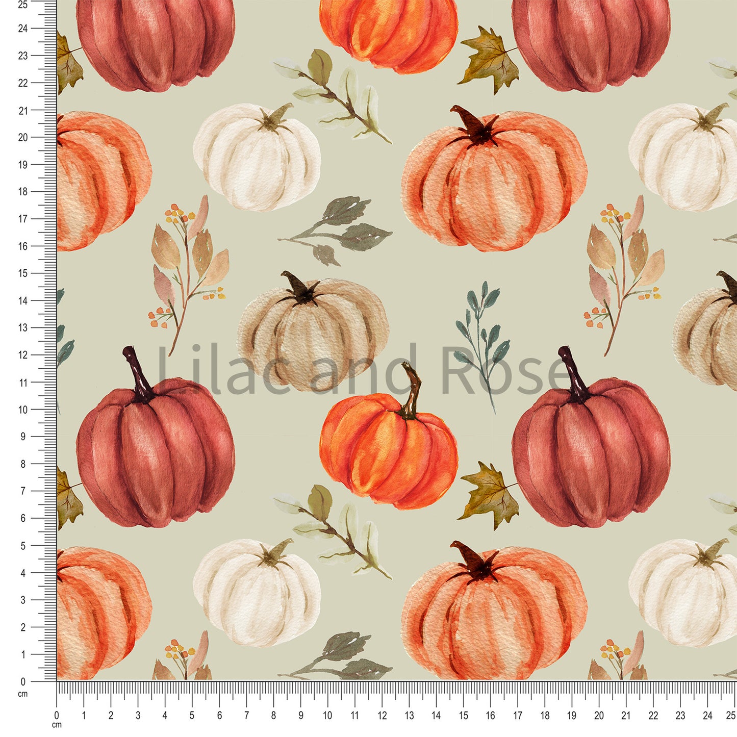 PRE-ORDER - Sage Pumpkins