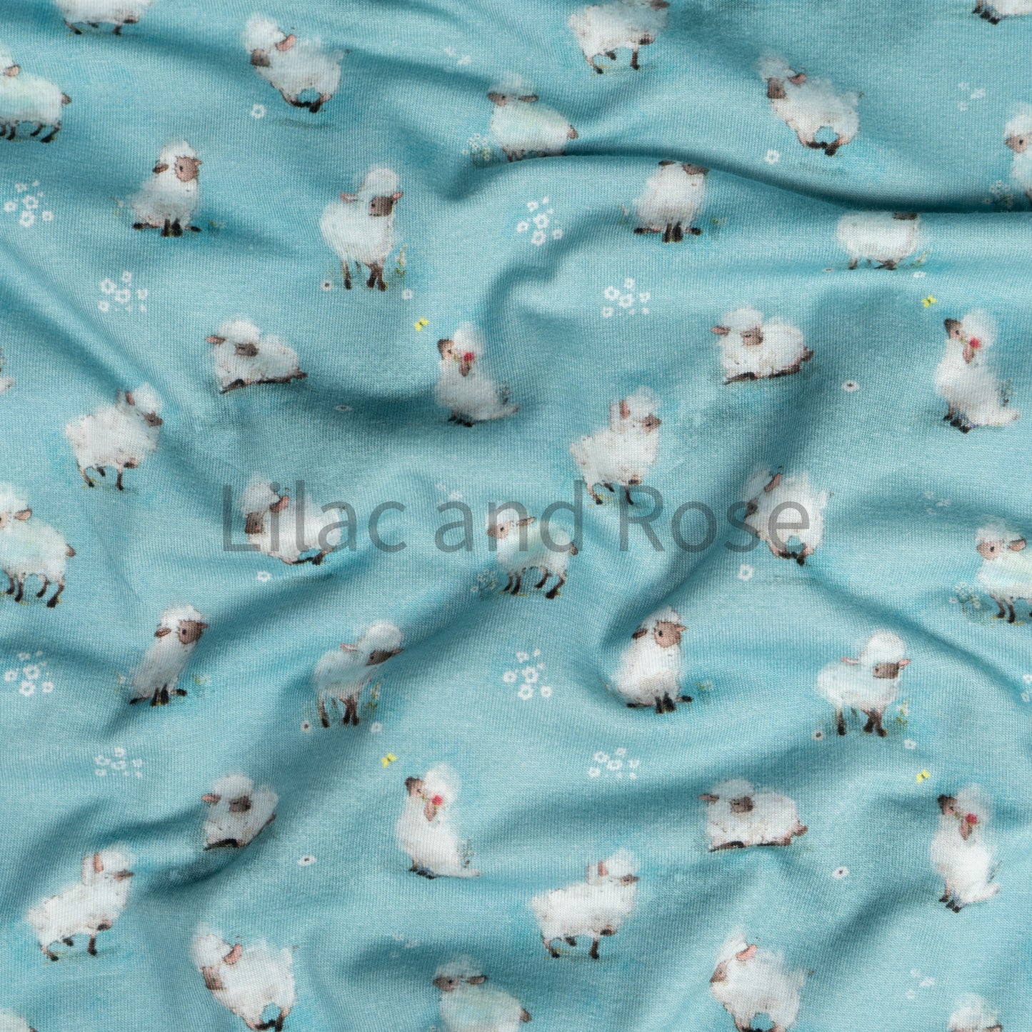 Cotton Jersey - Fluffy Sheep on Blue