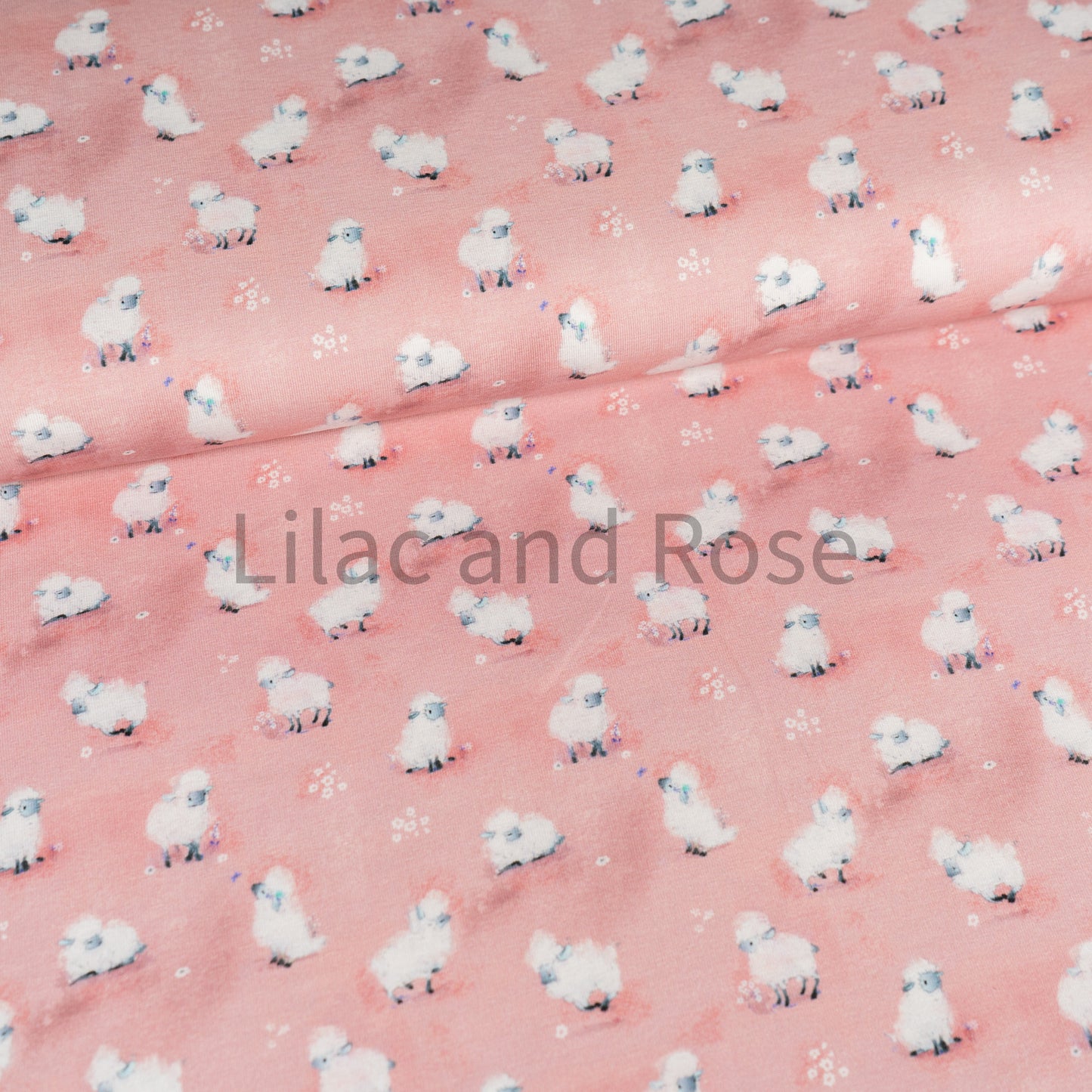 Cotton Jersey - Fluffy Sheep on Pink