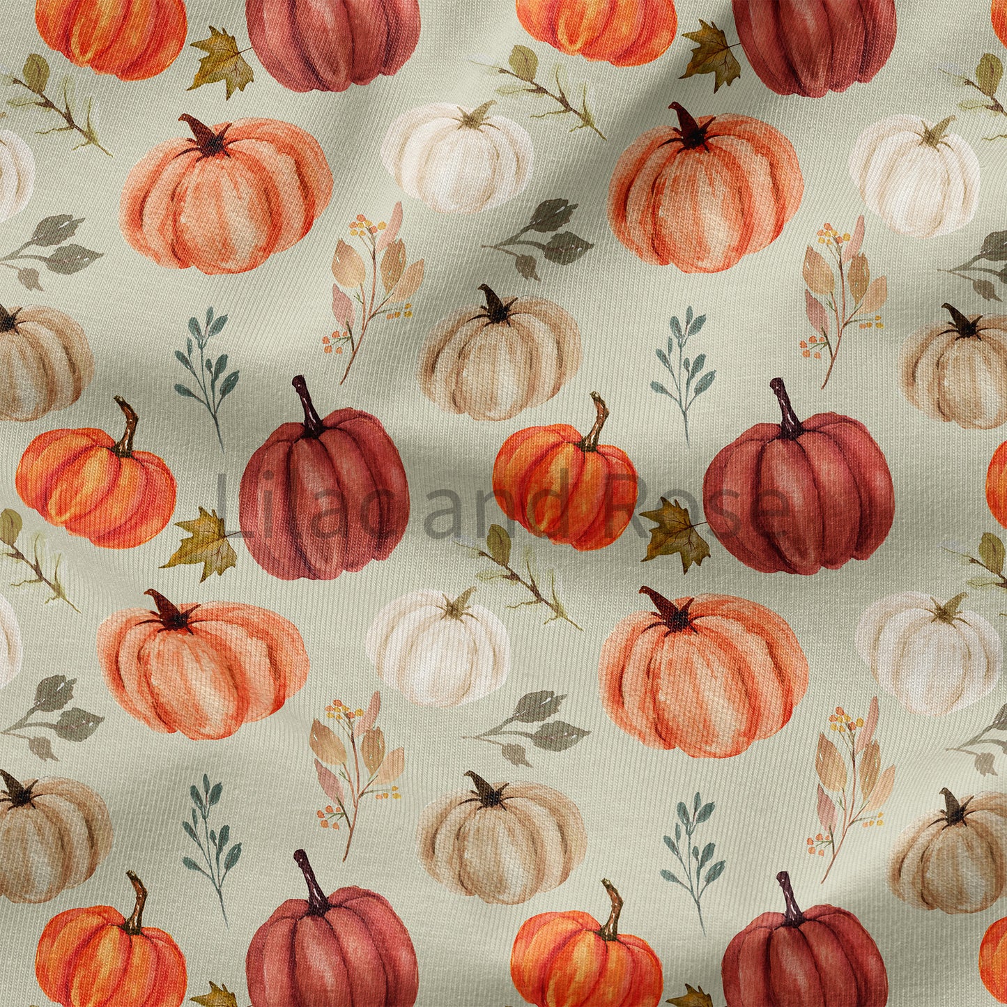 PRE-ORDER - Sage Pumpkins