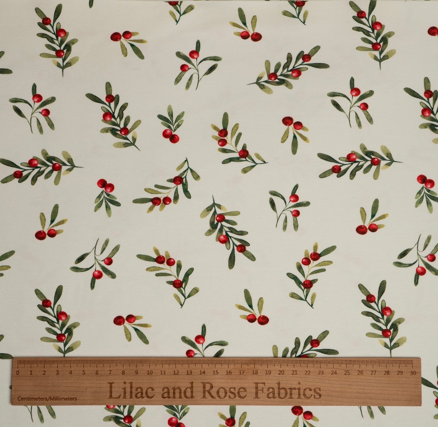 Cotton Jersey - Winter Berries