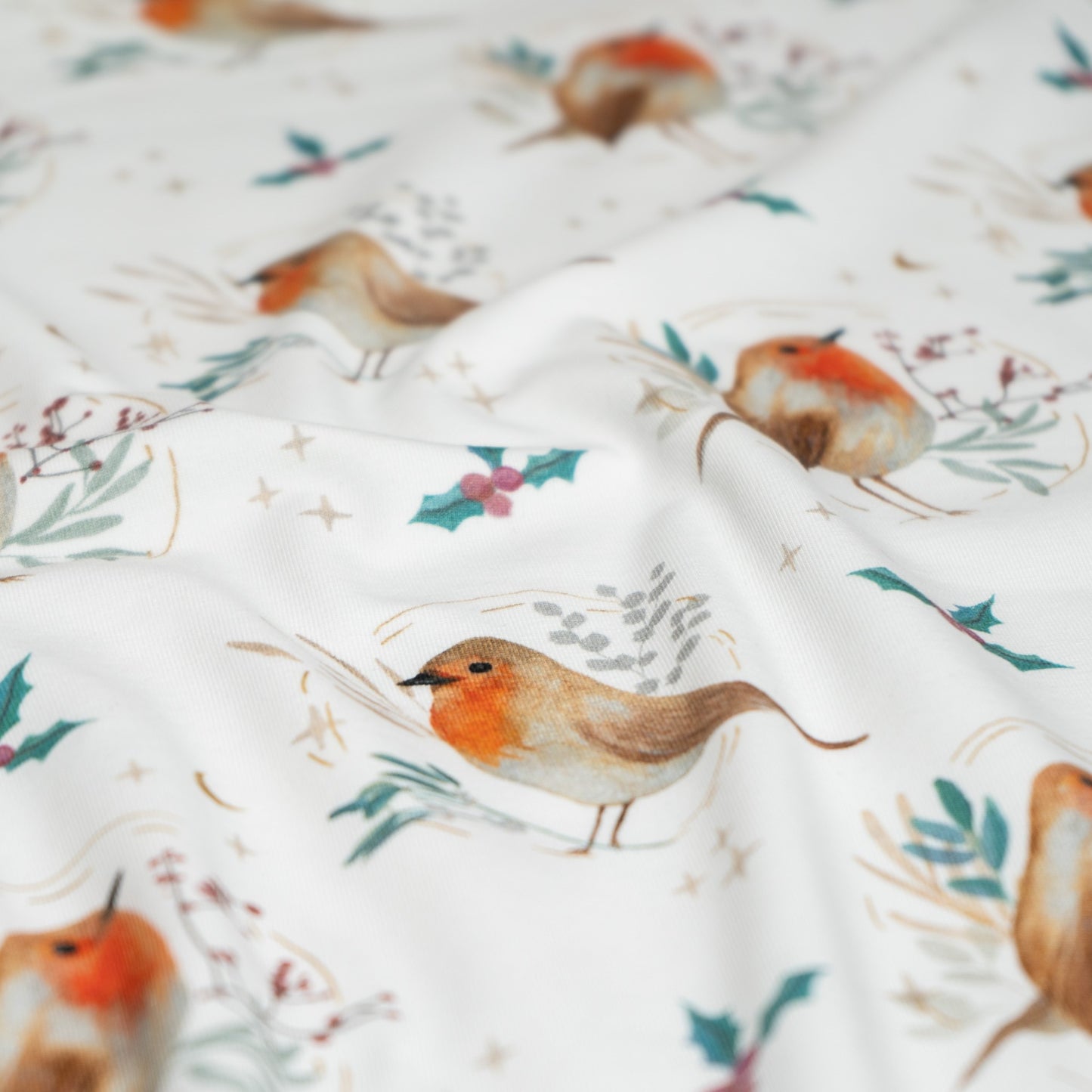 Cotton Jersey - Floral Robin in White (Exclusive)